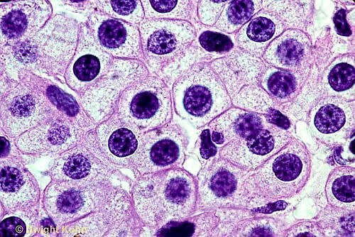 Biochemistry & Cell Biology