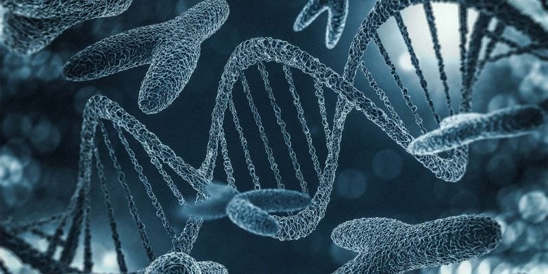 Genetics & Evolution