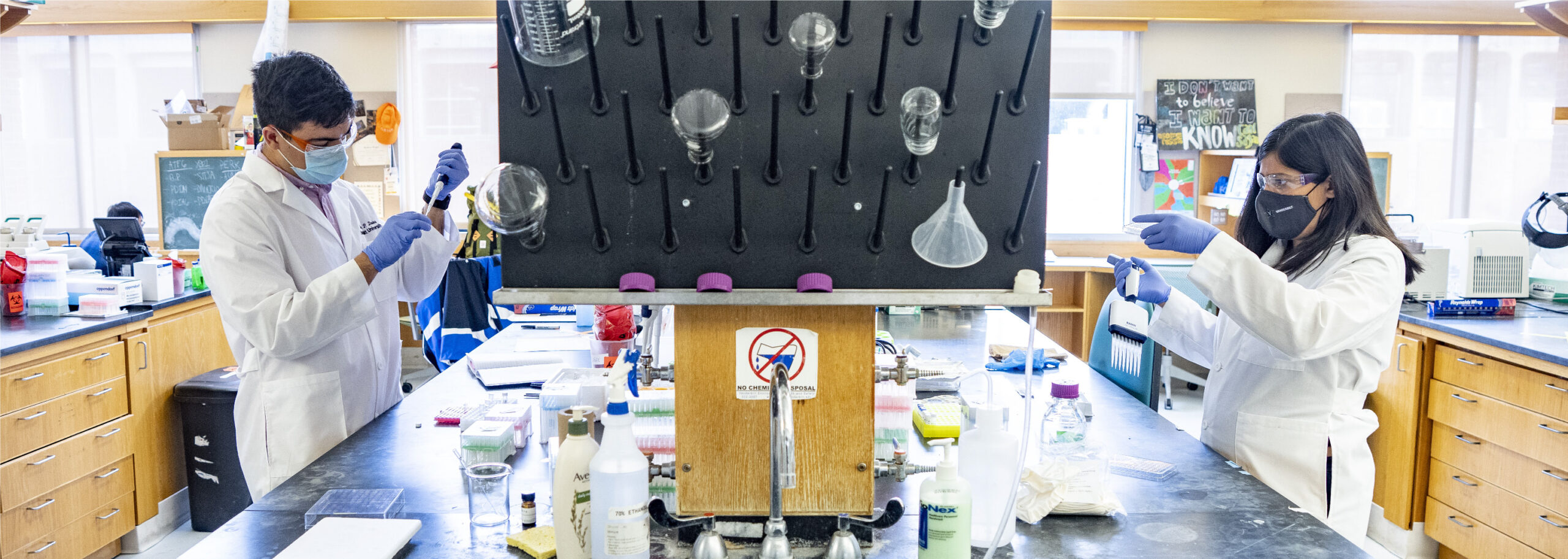 Research Program