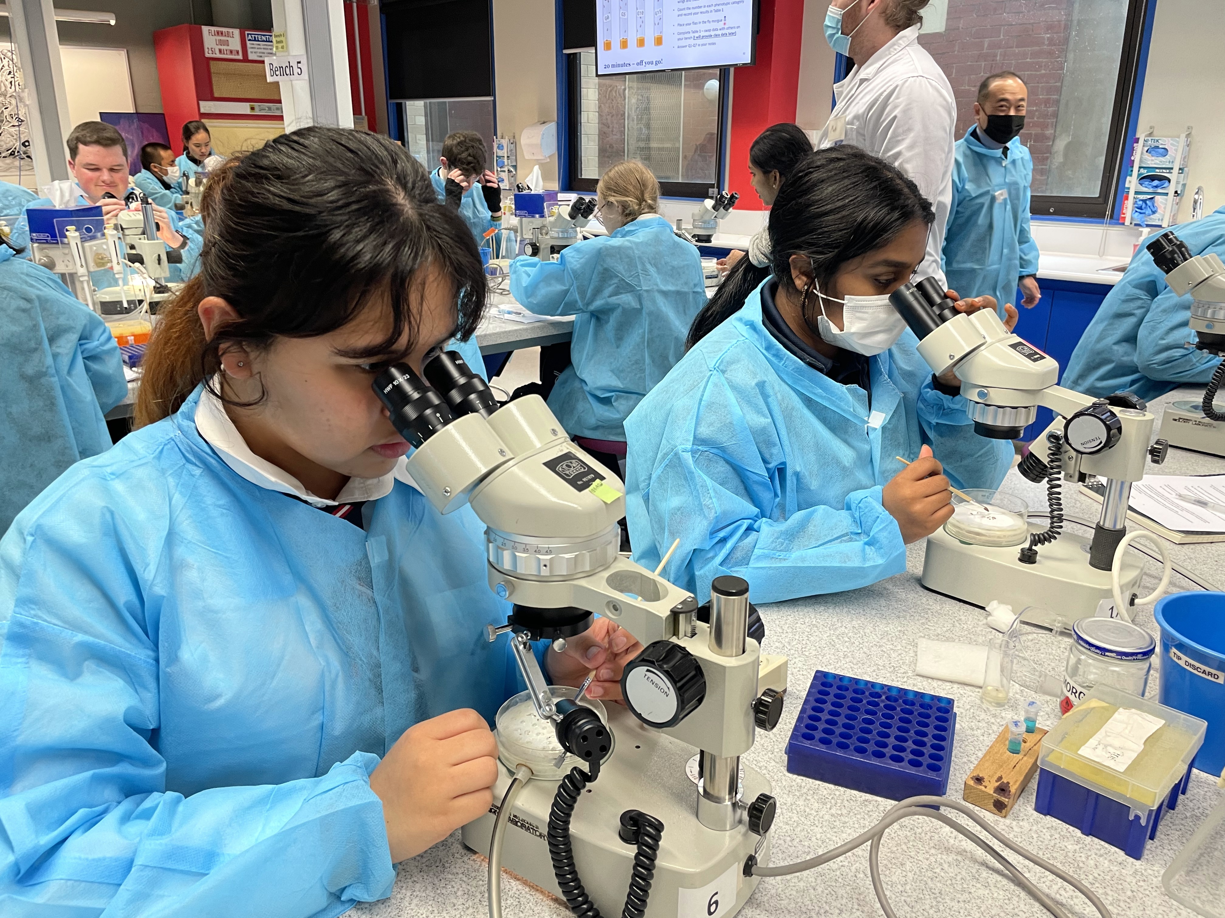 Hands-on Workshops